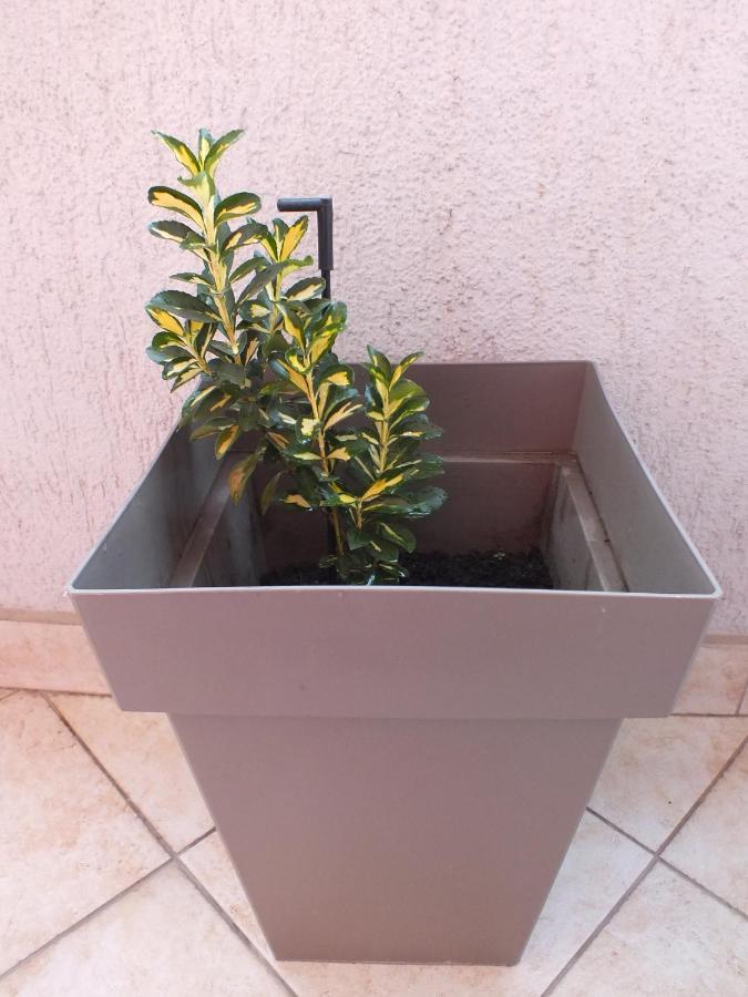 Apartment Temple بودغوريتْسا المظهر الخارجي الصورة